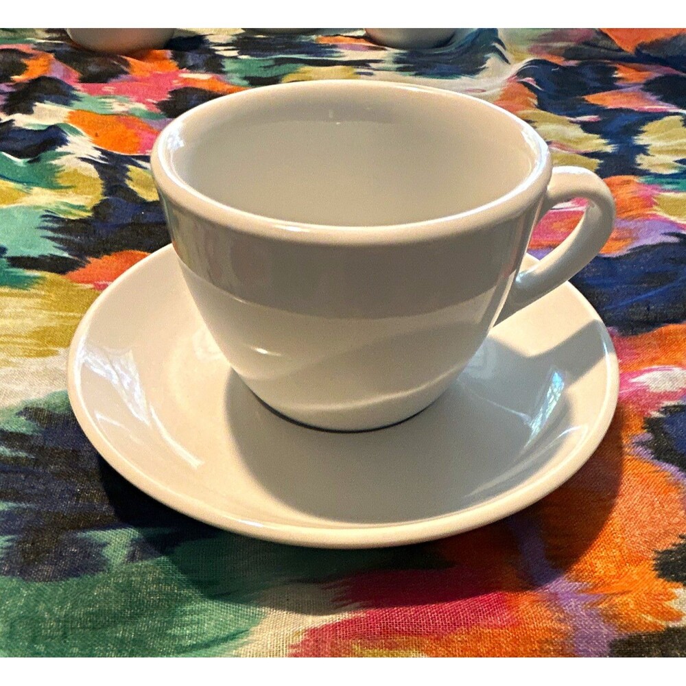 Richard Ginori White Ceramic Cup & Saucer Set Coffee Tea